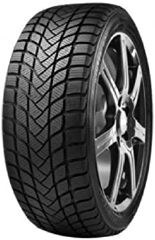 Neumático DELINTE WINTER WD6 155/80R13 79 T